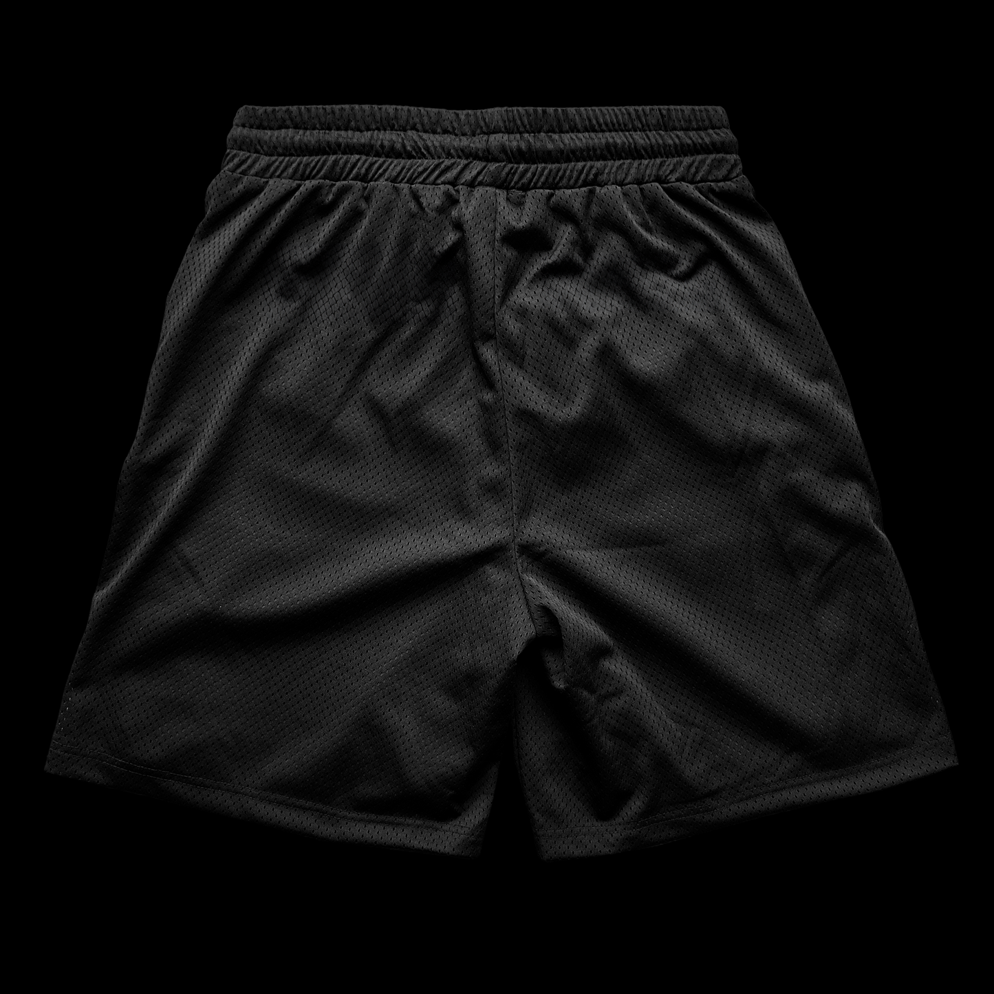 Black "Desigual" Mesh Shorts